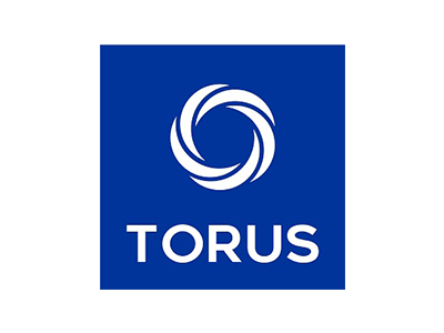 torus